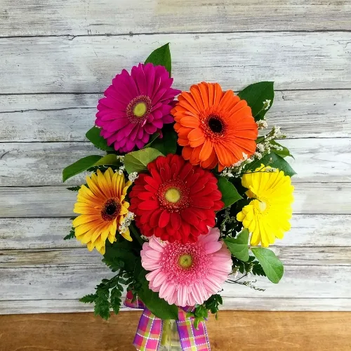 Bright Gerbera Daisies