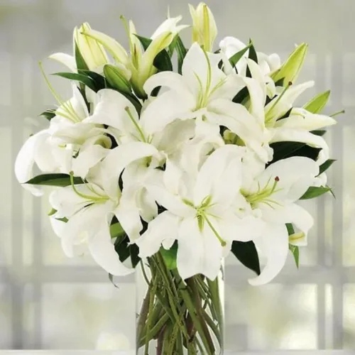 Elegant White Lilies