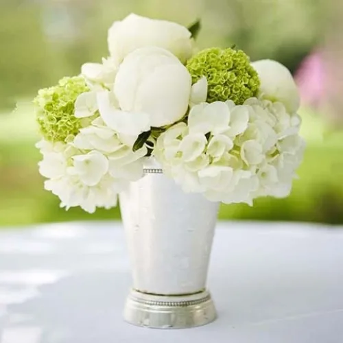 Cotton