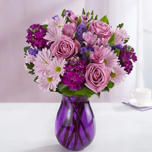 Lavender Dreams