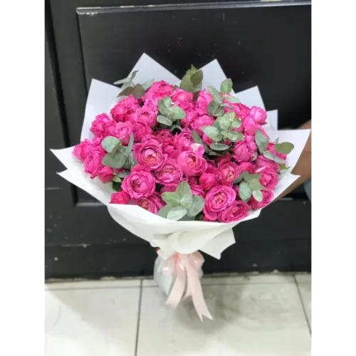 Pink Peony Delight