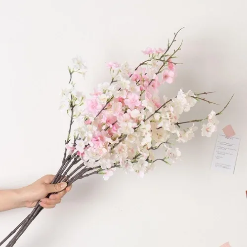 Cherry Blossom Delight