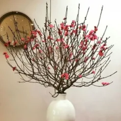 Tet Peach Blossom Branches